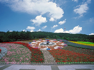 「十勝が丘公園」